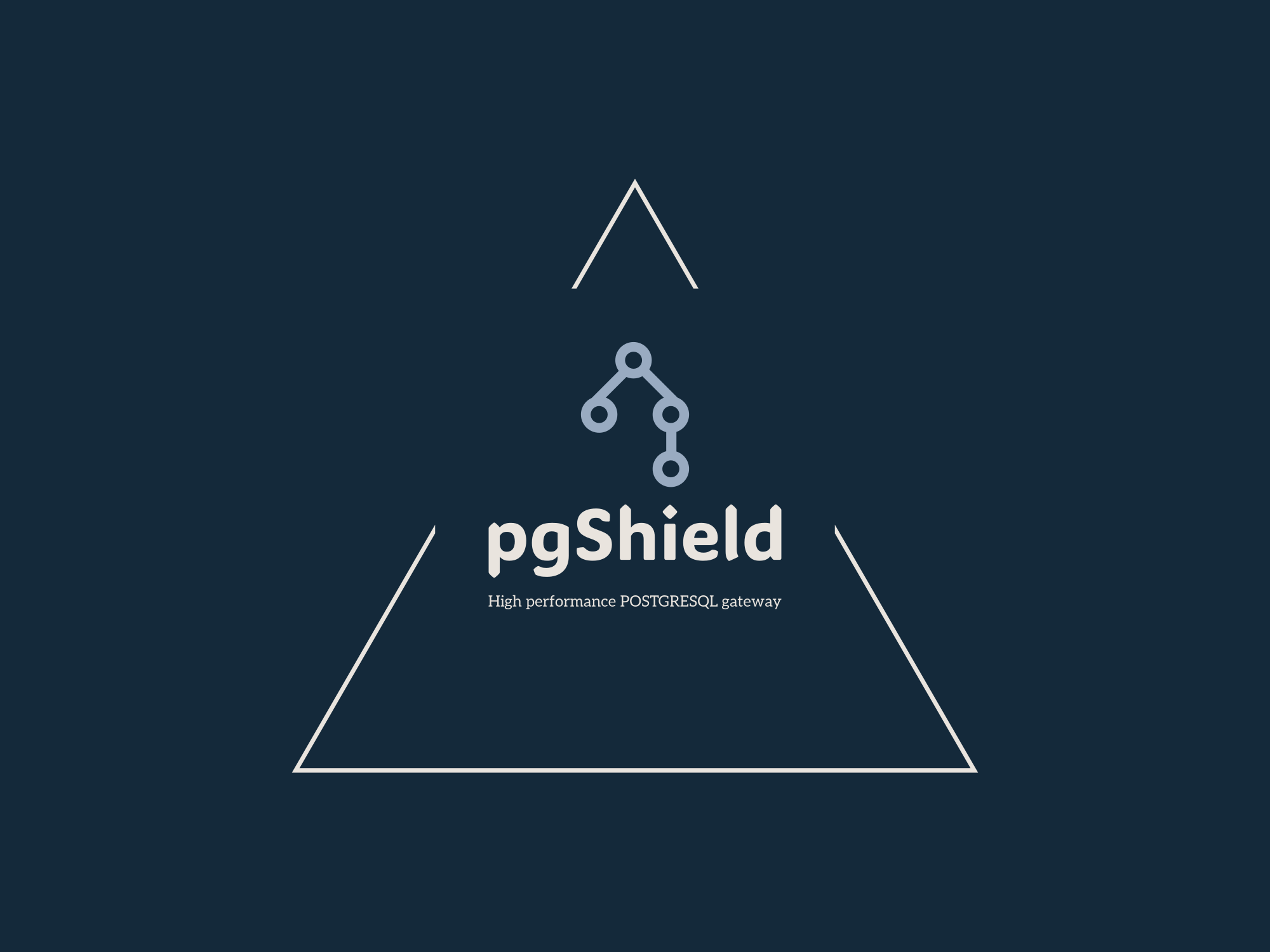 pgShield Logo